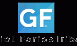 gfi-logo-new-optimized